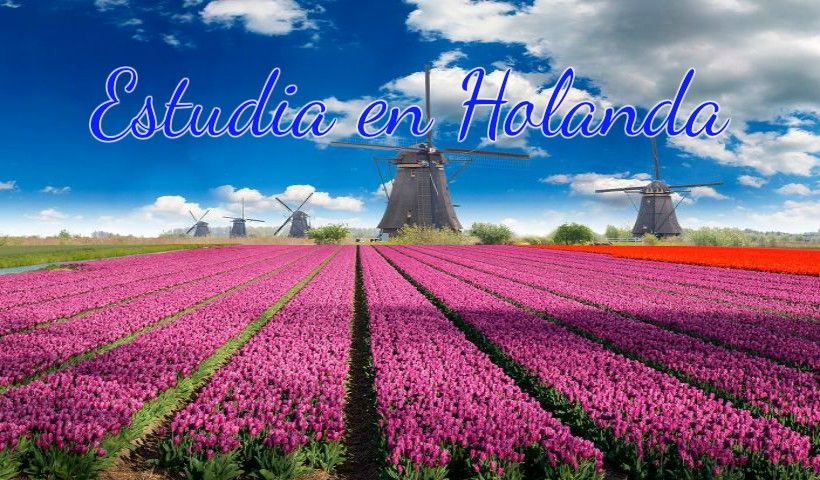 Holanda: Beca Maestría Diversas Áreas Universidad de Utrecht